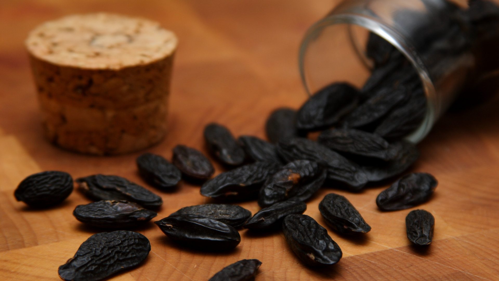 Dried tonka beans in a glass vial, a workshop raw-material sample