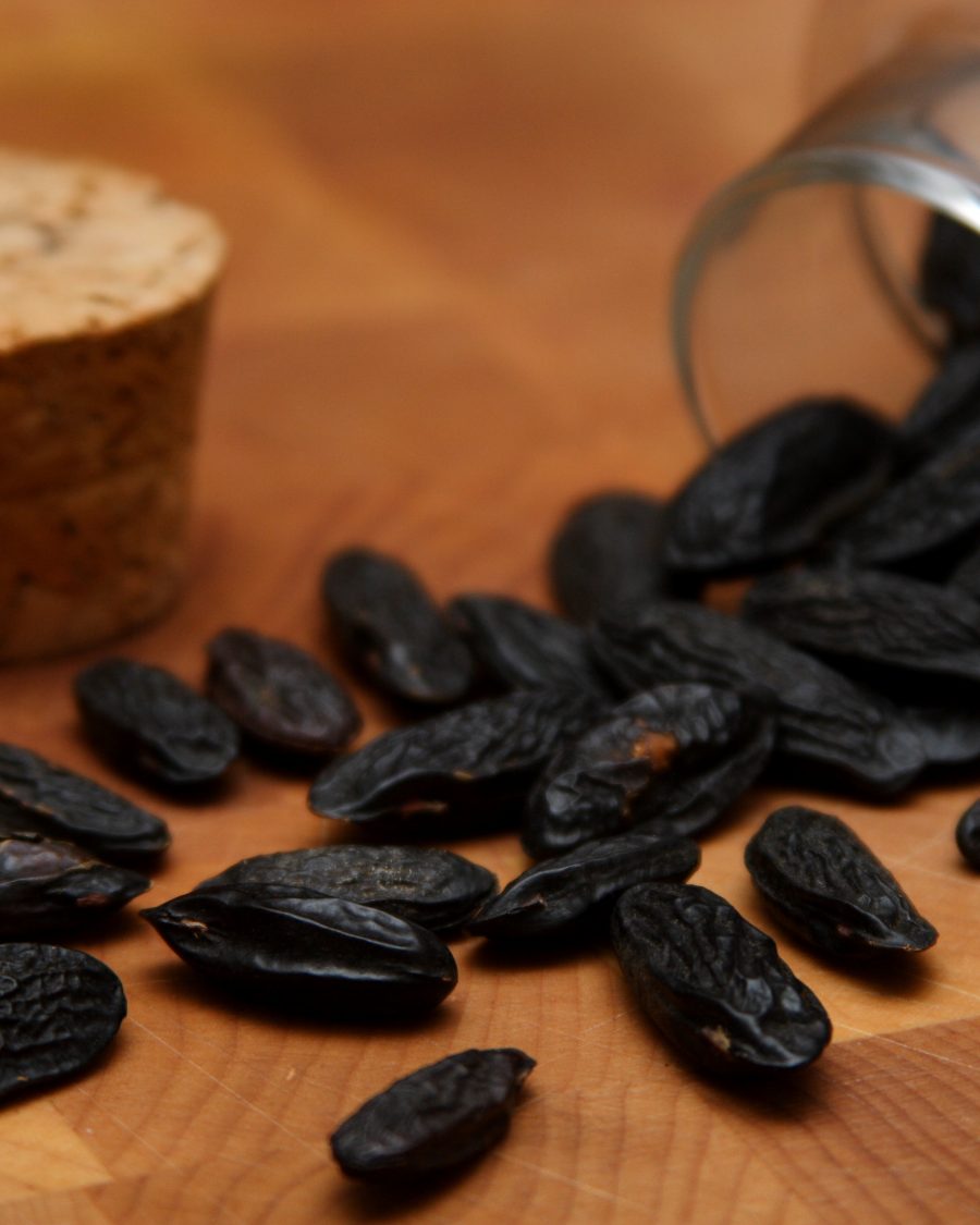 Dried tonka beans in a glass vial, a workshop raw-material sample